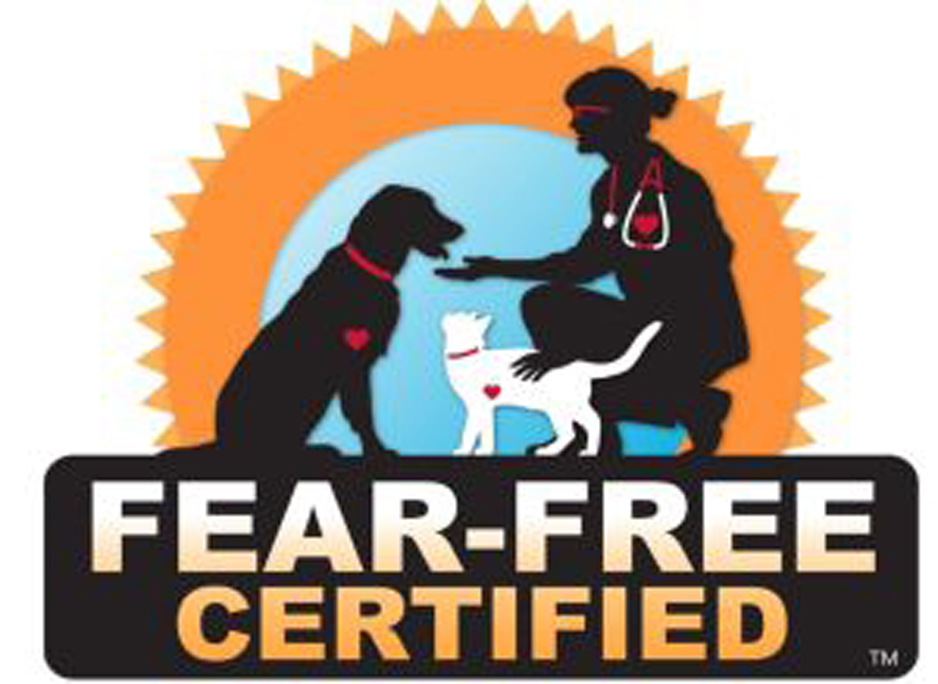 Fear-free certified