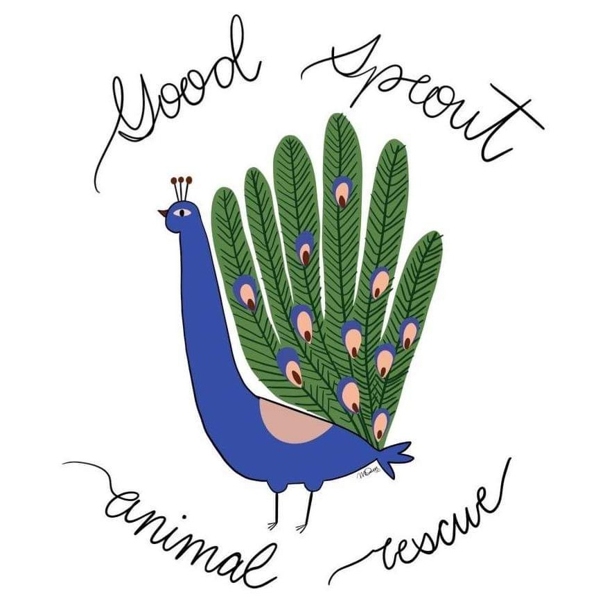 Good Sprout Animal Rescue